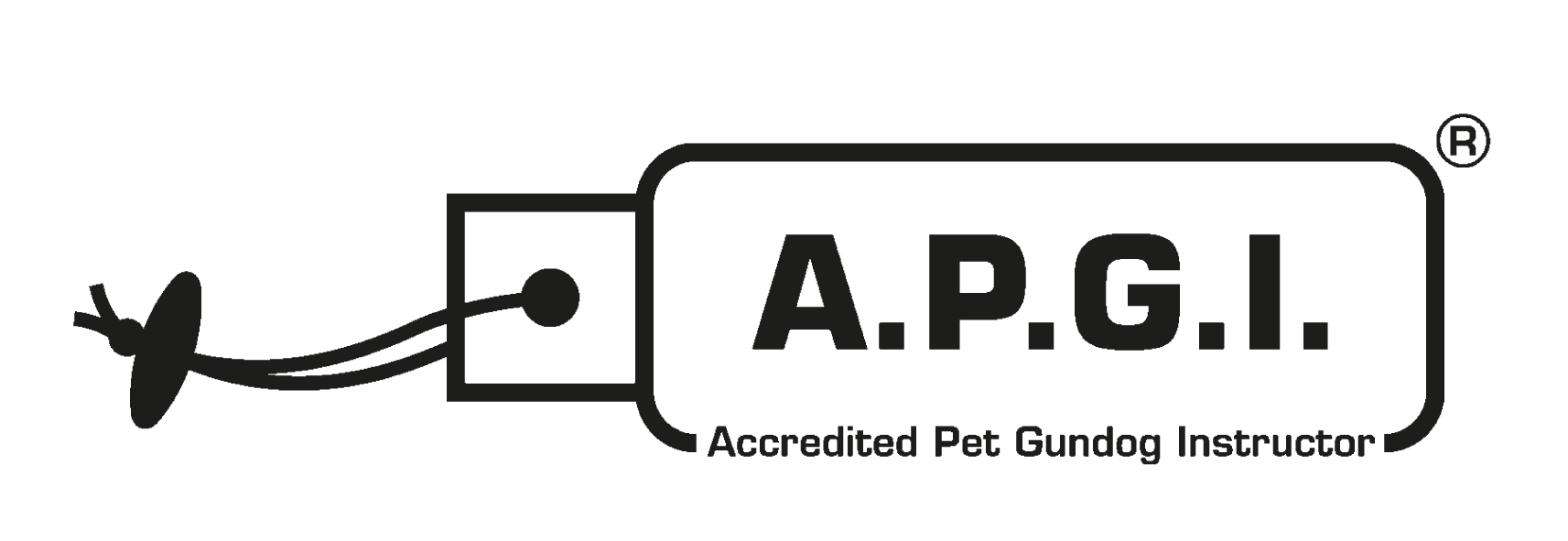 APGI logo